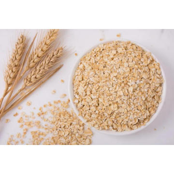 good quality Oats peptide powder